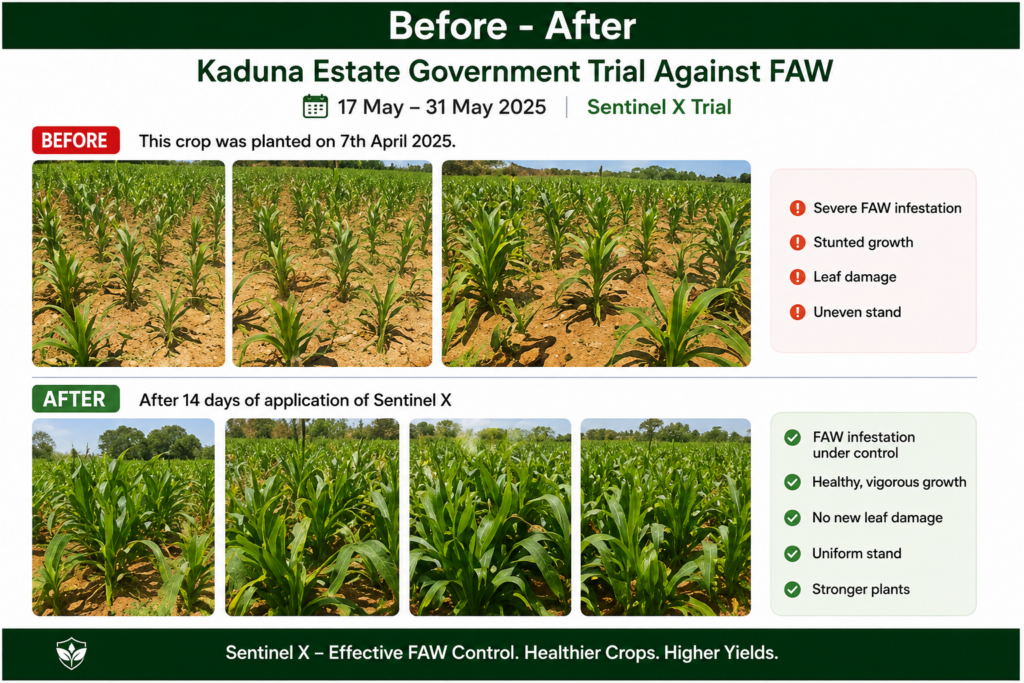Kaduna Case