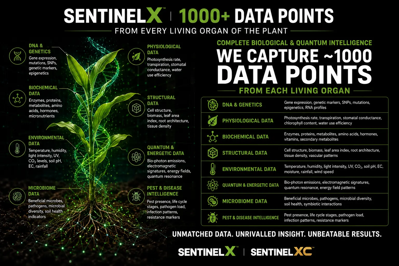 Data Points