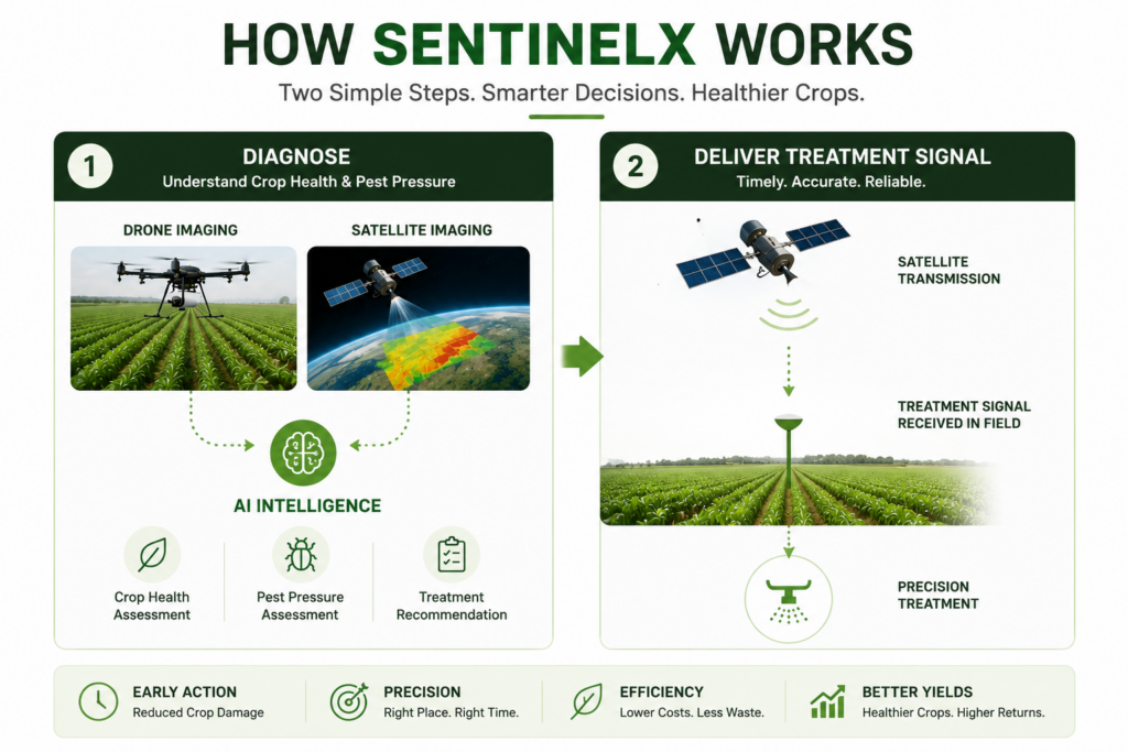 how sentinelx works