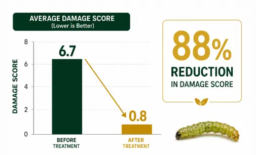 faw drop