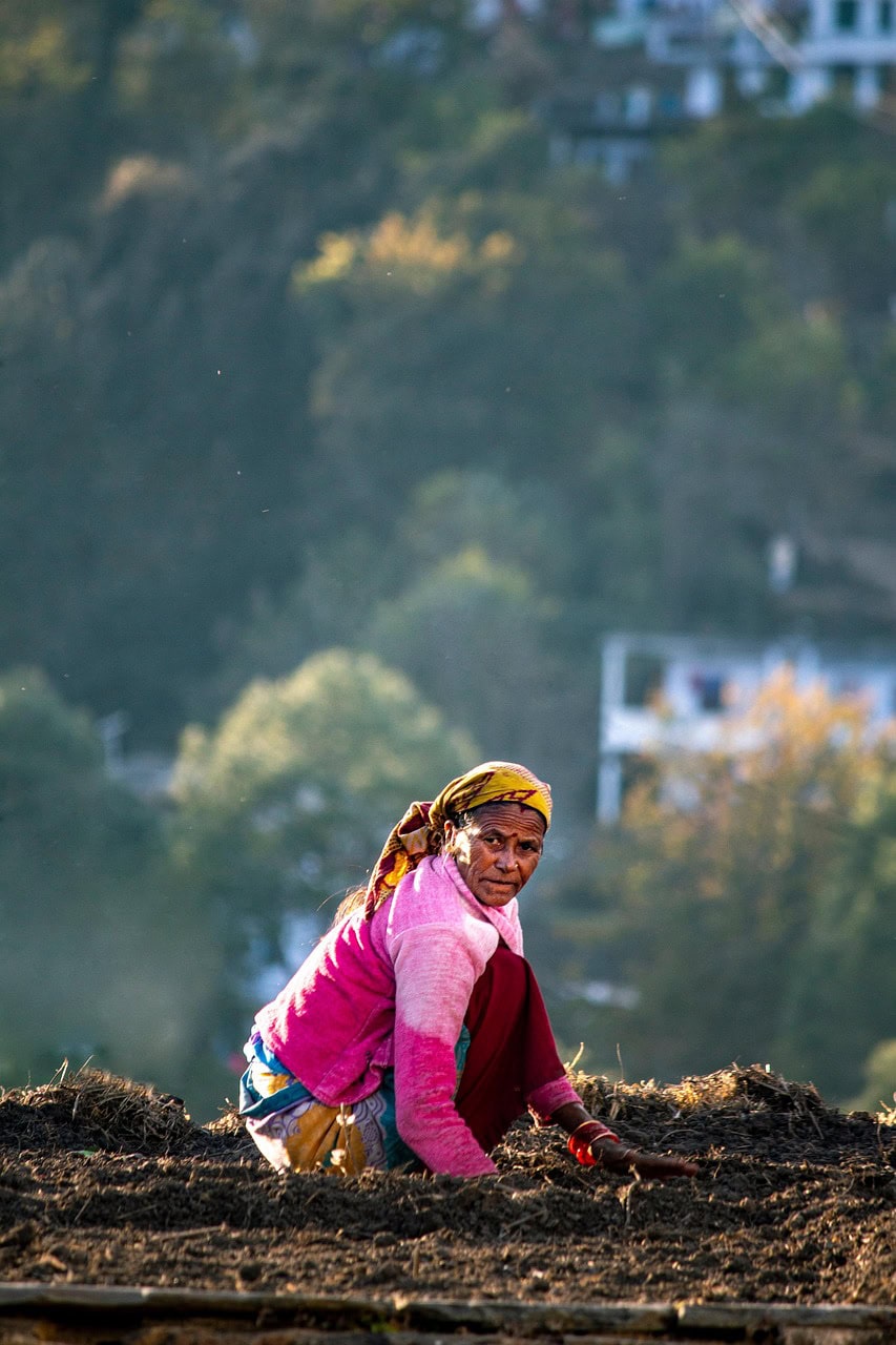 Farmer planting crops in the field for sustainable agriculture.
