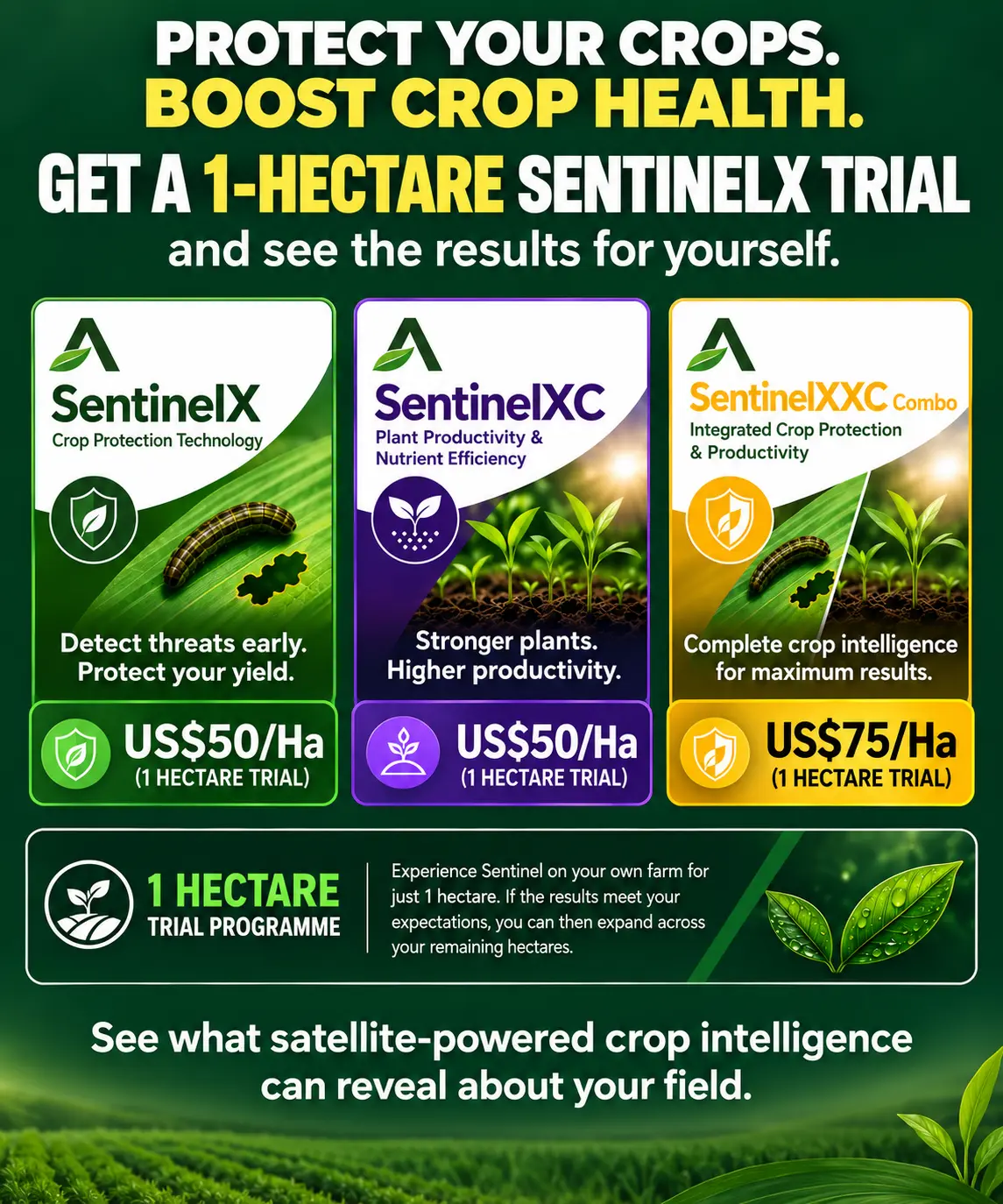 SentinelXXC farm trial showing crop results